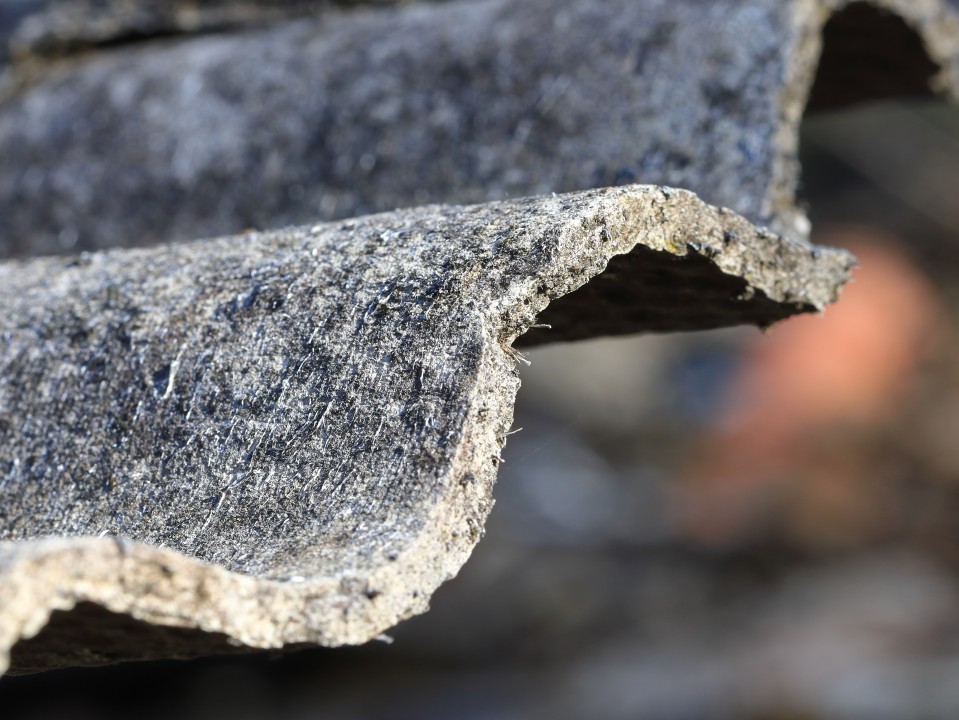 Evaluating Asbestos: a Crucial Step towards Guaranturing Safety