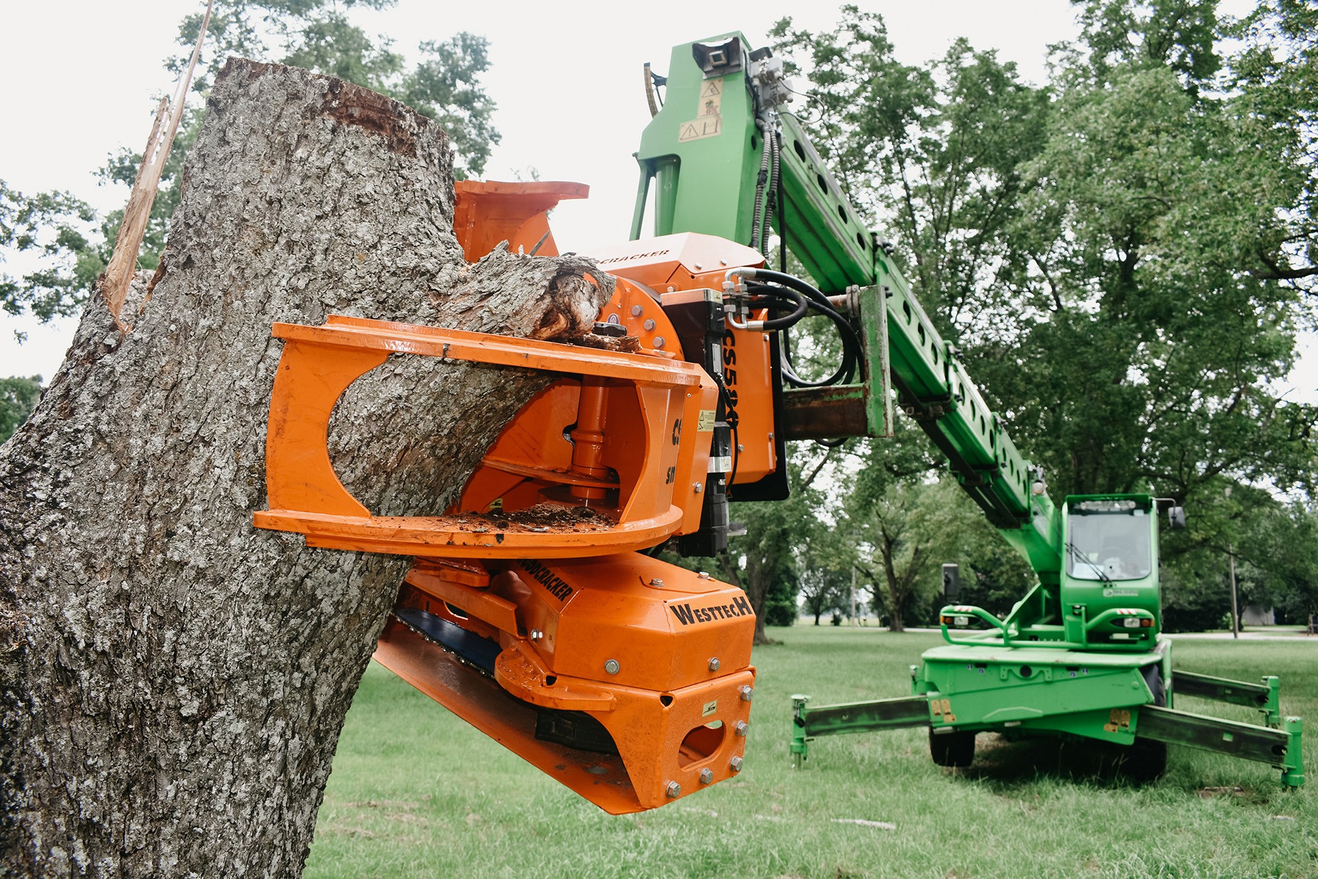 Canton Tree Pros