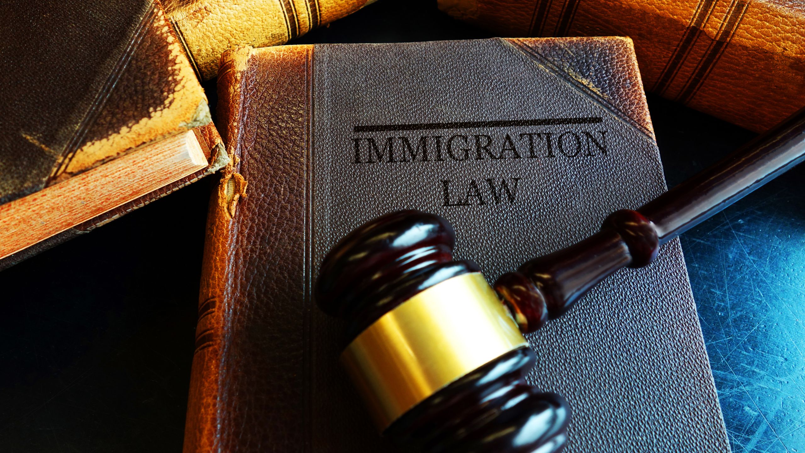 immigration law